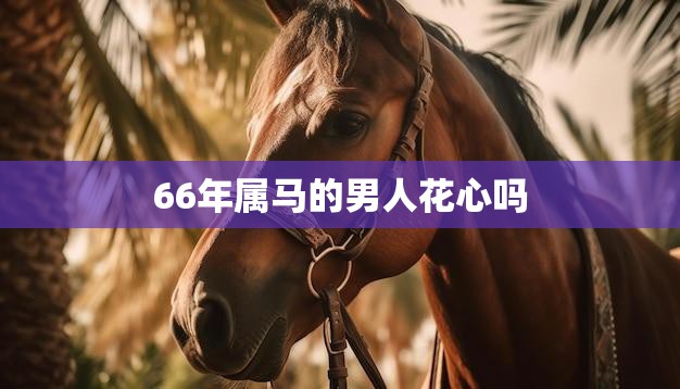 66年属马的男人花心吗(揭秘属马男的爱情观)