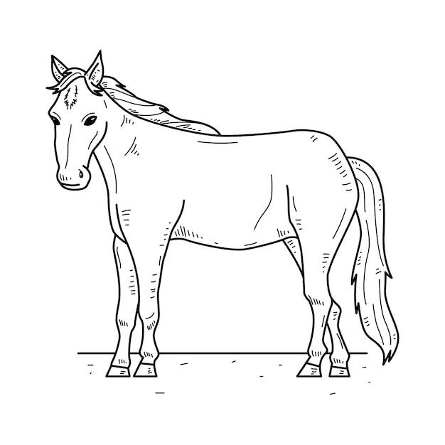 属马女和属羊男人的婚姻(如何化解性格差异)