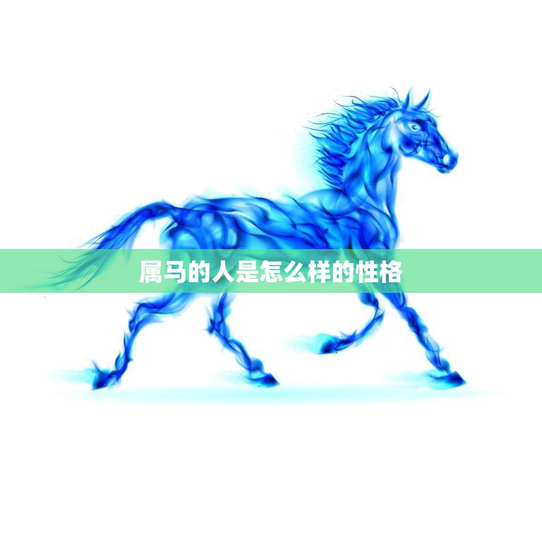 属马的人是怎么样的性格(解析活力四射好奇心强)