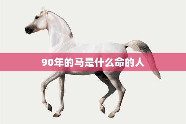 90年的马是什么命的人(马年出生的人性格特点及运势分析)