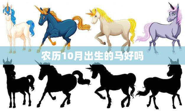 农历10月出生的马好吗(解析命运与性格特点)
