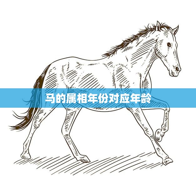 马的属相年份对应年龄(如何计算)