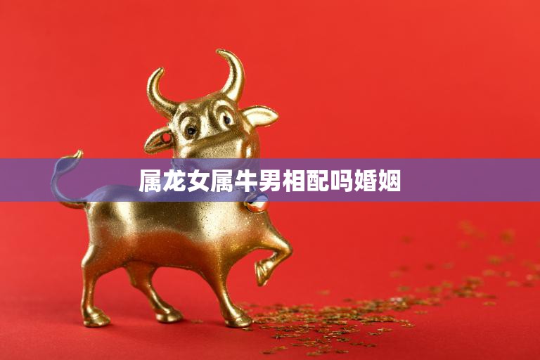 属龙女属牛男相配吗婚姻(如何化解星座不合之缘)