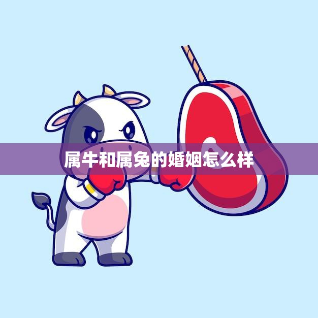 属牛和属兔的婚姻怎么样(幸福的秘诀)