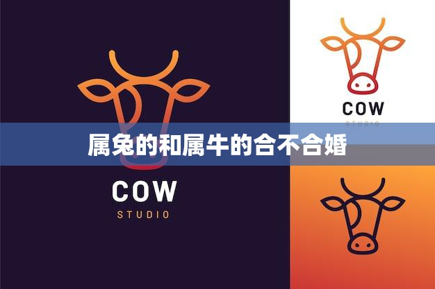 属兔的和属牛的合不合婚(星座配对解析)