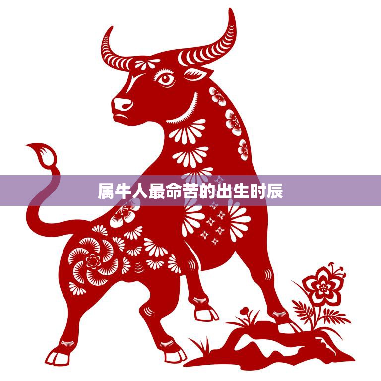 属牛人最命苦的出生时辰(如何避免命运的坎坷)
