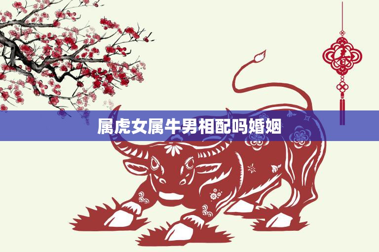 属虎女属牛男相配吗婚姻(如何化解星座不合之缘)