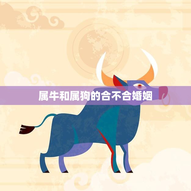 属牛和属狗的合不合婚姻(星座专家揭秘这两个属相的恋爱和婚姻缘如何)