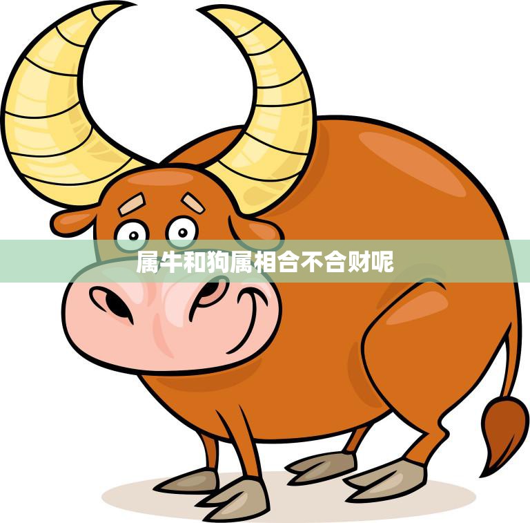 属牛和狗属相合不合财呢(财运如何)