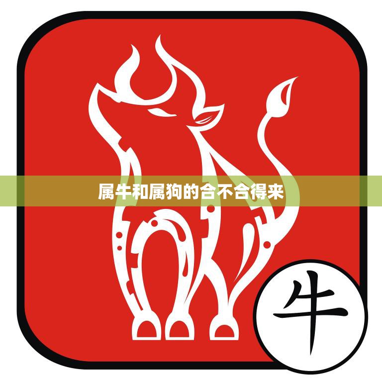 属牛和属狗的合不合得来(星座配对分析)
