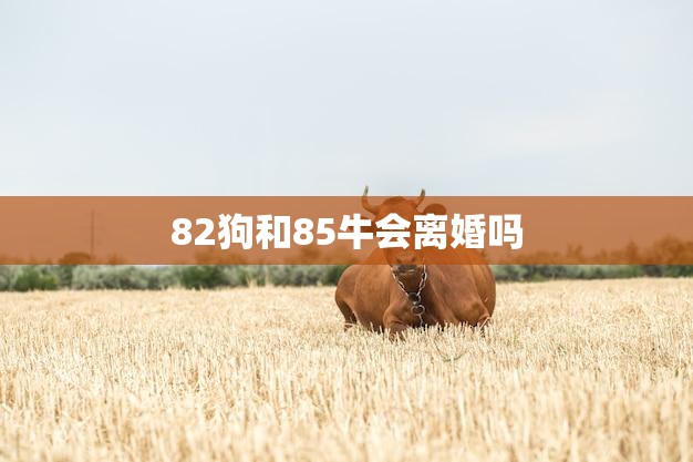 82狗和85牛会离婚吗(婚姻危机揭秘两个生肖的相处之道)