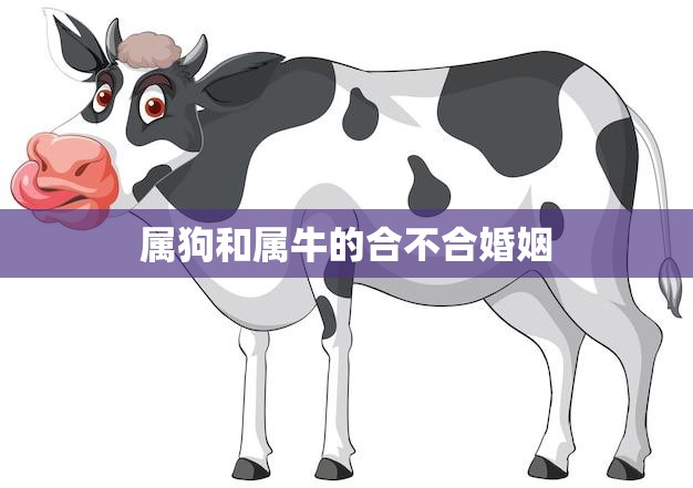 属狗和属牛的合不合婚姻(星座专家解析缘分重于命运)