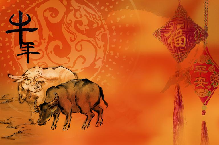 属牛和属蛇的姻缘怎么样(解析相爱容易相处难)