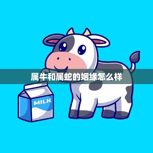 属牛和属蛇的姻缘怎么样(解析相爱容易相处难)