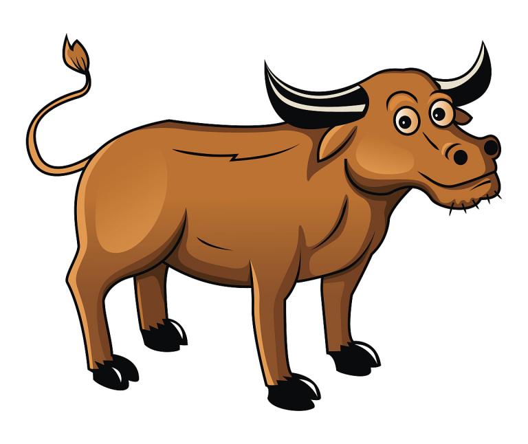 1997年8月是什么命(解析属牛的人运势如何)