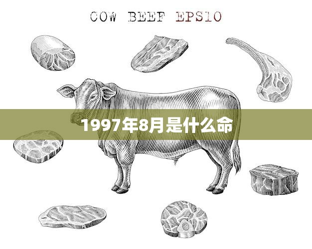1997年8月是什么命(解析属牛的人运势如何)