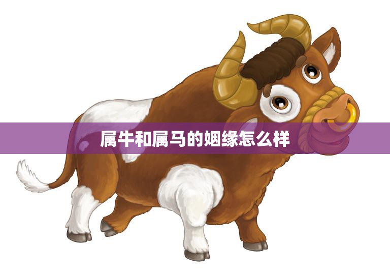 属牛和属马的姻缘怎么样(解析属相配对的奥秘)