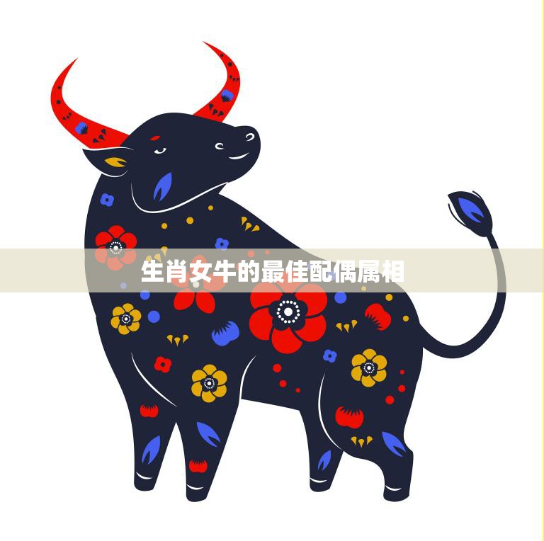 生肖女牛的最佳配偶属相(哪些属相最适合与牛女结婚)