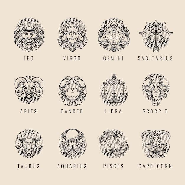 正月初一出生是什么星座的(迎接新年的幸运星座)