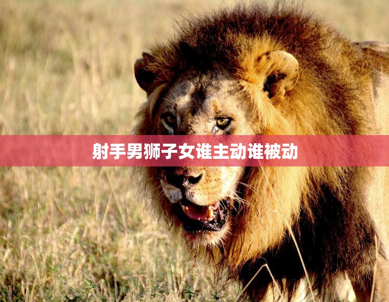 射手男狮子女谁主动谁被动(爱情中的攻防战)