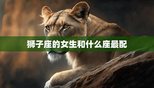 狮子座的女生和什么座最配(完美星座组合爱情无敌)