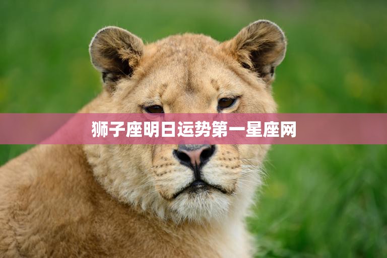 狮子座明日运势第一星座网(揭秘狮子座明日财运趋势)