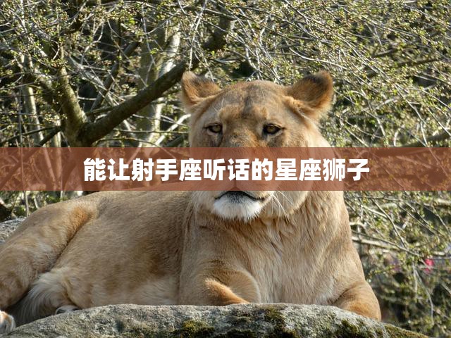 能让射手座听话的星座狮子(狮子座的力让射手顺从)