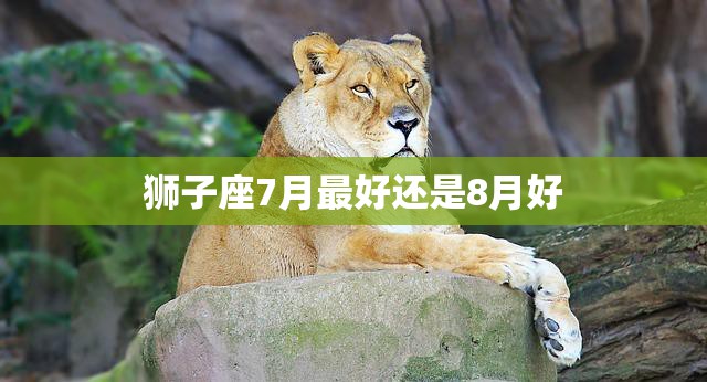 狮子座7月最好还是8月好(星座运势分析)