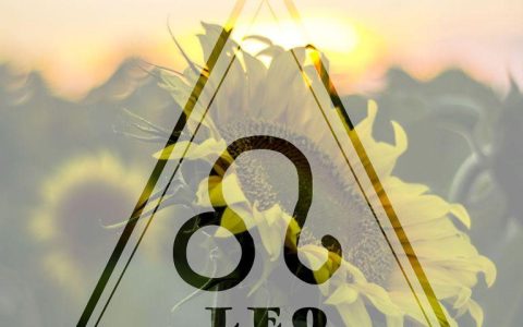 狮子女感情运势2023年(爱情大起大落)