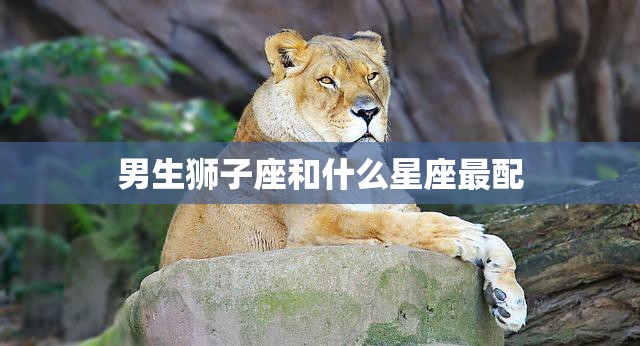 男生狮子座和什么星座最配(星座配对大揭秘)