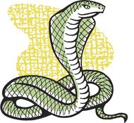 属蛇1977的今年多大(如何应对中年危机)