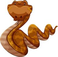 生肖蛇过了45岁就顺了(为什么)