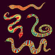 6月属蛇的命运怎么样呢(解析财运、感情、健康全面升级)