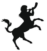 射手座的正缘是哪个星座(揭秘射手座最佳配对星座)