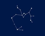 射手座今日运势最新一周(财运亨情顺利)