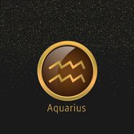 特别适合跟水瓶结婚的星座(完美匹配天秤座)