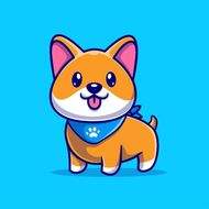 属狗的人和什么生肖相克(十二生肖中哪些与狗相冲)