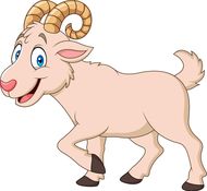 白羊男对哪种女生有好感(揭秘白羊男心中的完美女友)