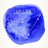 喜欢摩羯女气质的星座男(为何如此迷恋这种气质)