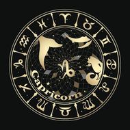 摩羯座最合来的星座排名(你最适合的星座是哪个)