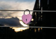 生肖最佳配偶属相是什么(揭秘十二生肖最佳配对)