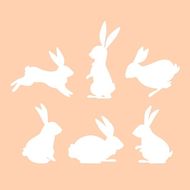 为啥兔的情人是狗的伴侣(探究兔狗之间的特殊关系)