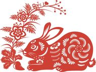 属兔的叫什么名字好男孩(如何选择适合的兔子宝宝名字)