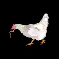 属鸡的和什么婚配最合适(如何选择最佳婚姻伴侣)