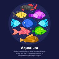 正月二十五是双鱼座吗男生(解密星座谜团)