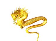 属龙的今年多大88年的(如何预测你的命运)