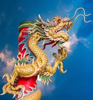 男猪和女龙属婚姻怎么样(幸福的秘诀)