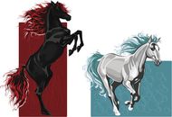 66年属马女人婚姻好吗(解析婚姻观念与星座特质)