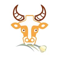 属牛和属兔的婚姻怎么样(幸福的秘诀)