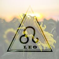 狮子女感情运势2023年(爱情大起大落)